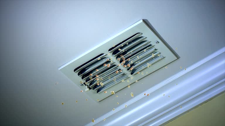 Best Affordable Duct Cleaning Services  in Pico Rivera, CA
