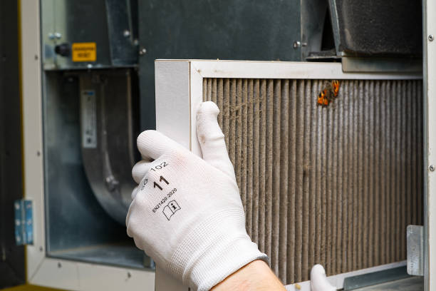 Best Affordable HVAC Duct Cleaning  in Pico Rivera, CA