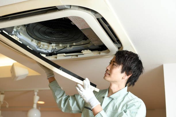Air Duct Mold Removal in Pico Rivera, CA
